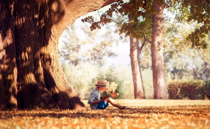 Refranes españoles populares para niños