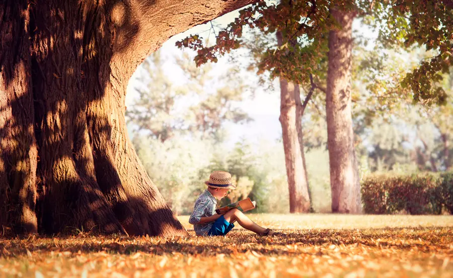 Refranes españoles que todo niño debería conocer