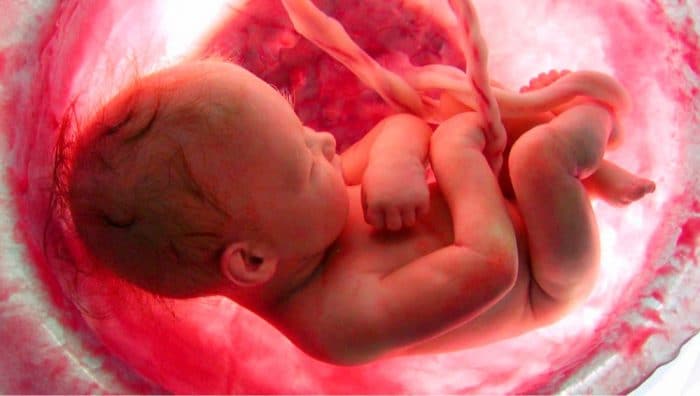 Vídeo: 9 meses de embarazo en 4 minutos - Etapa Infantil