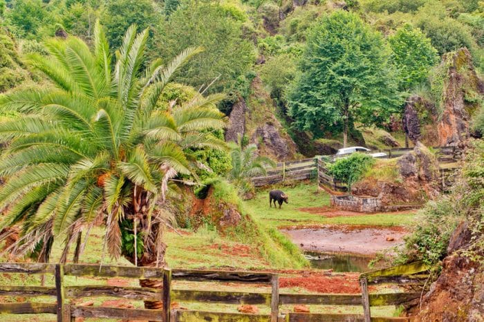 Parque de la Naturaleza de Cabárceno