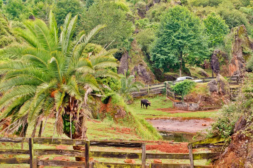 Visitar el Parque de la Naturaleza de Cabárceno con niños