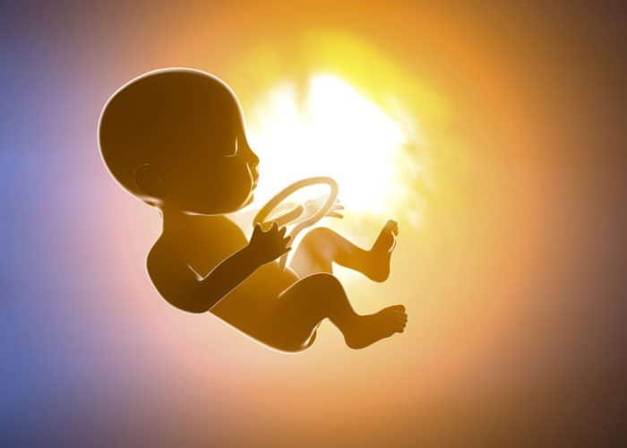 Combien de gramme par jour prend un bebe