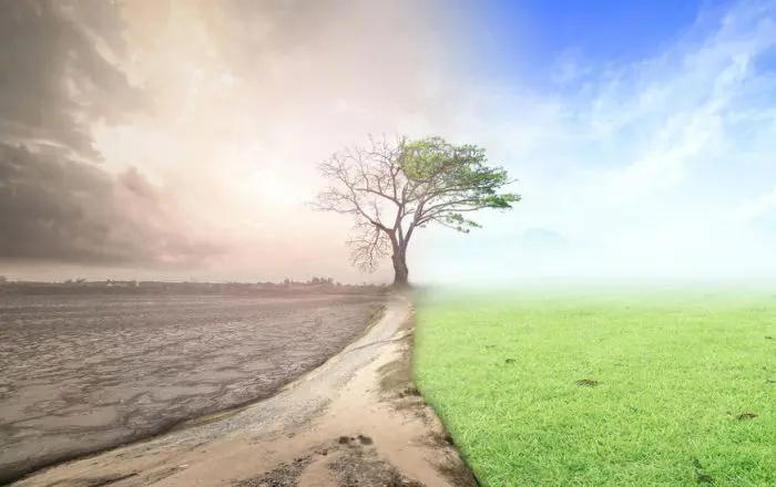 Cambio climático