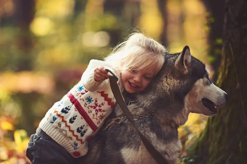 En Granada un colegio estrena una asignatura de protección animal