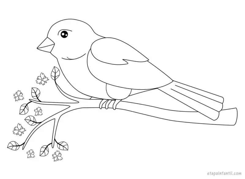 Dibujo de Pájaro posado en una rama para colorear