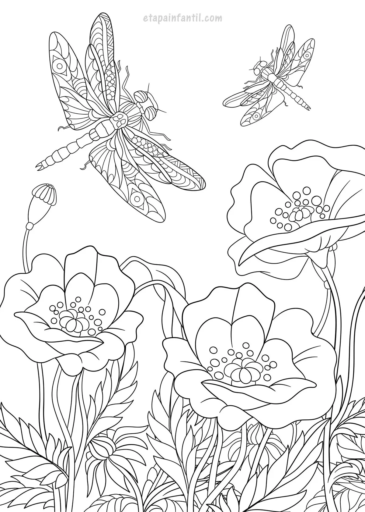 Dibujo de libélulas volando alrededor de flores de amapola para colorear