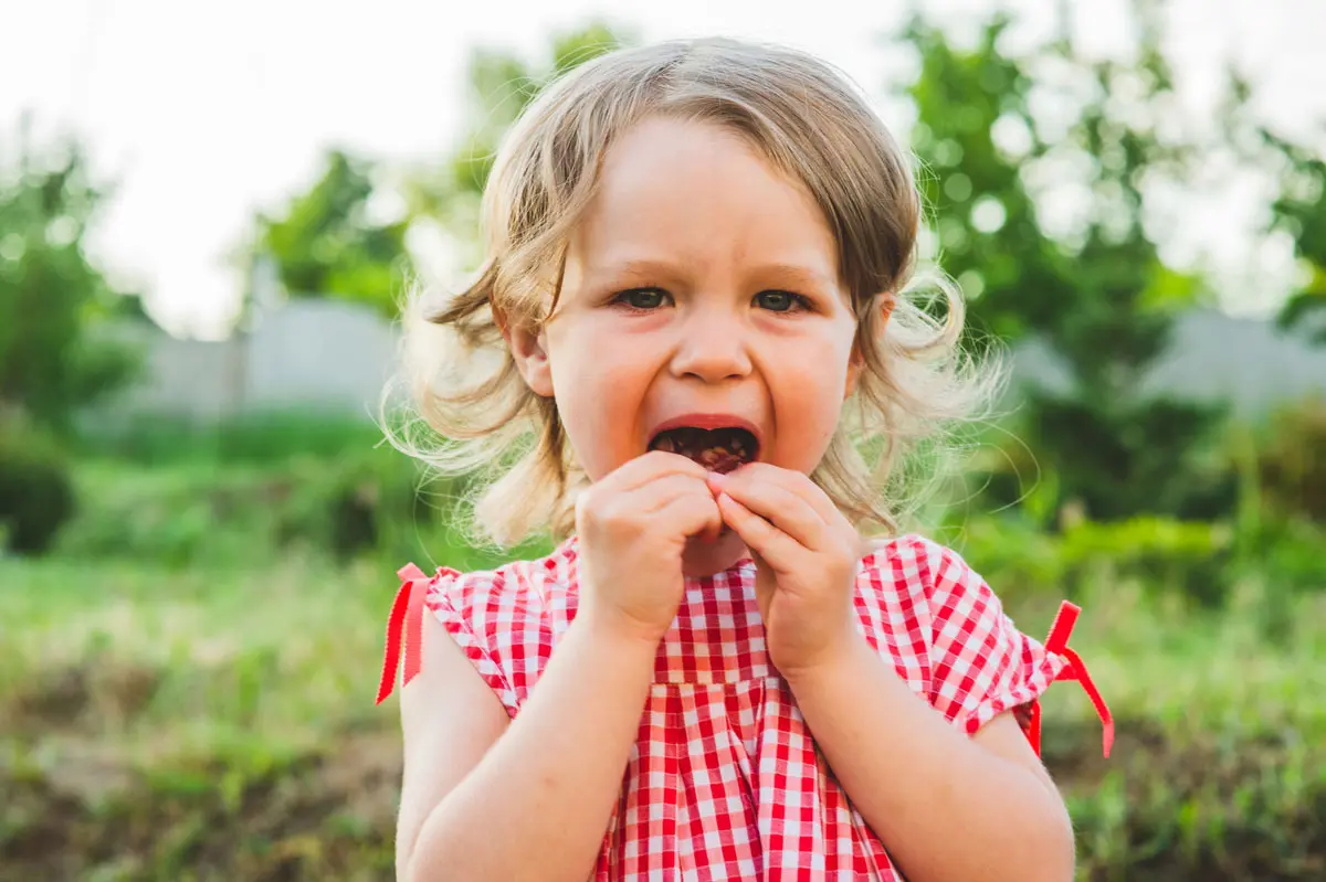 Comprende y educa a tu hijo de 2 años