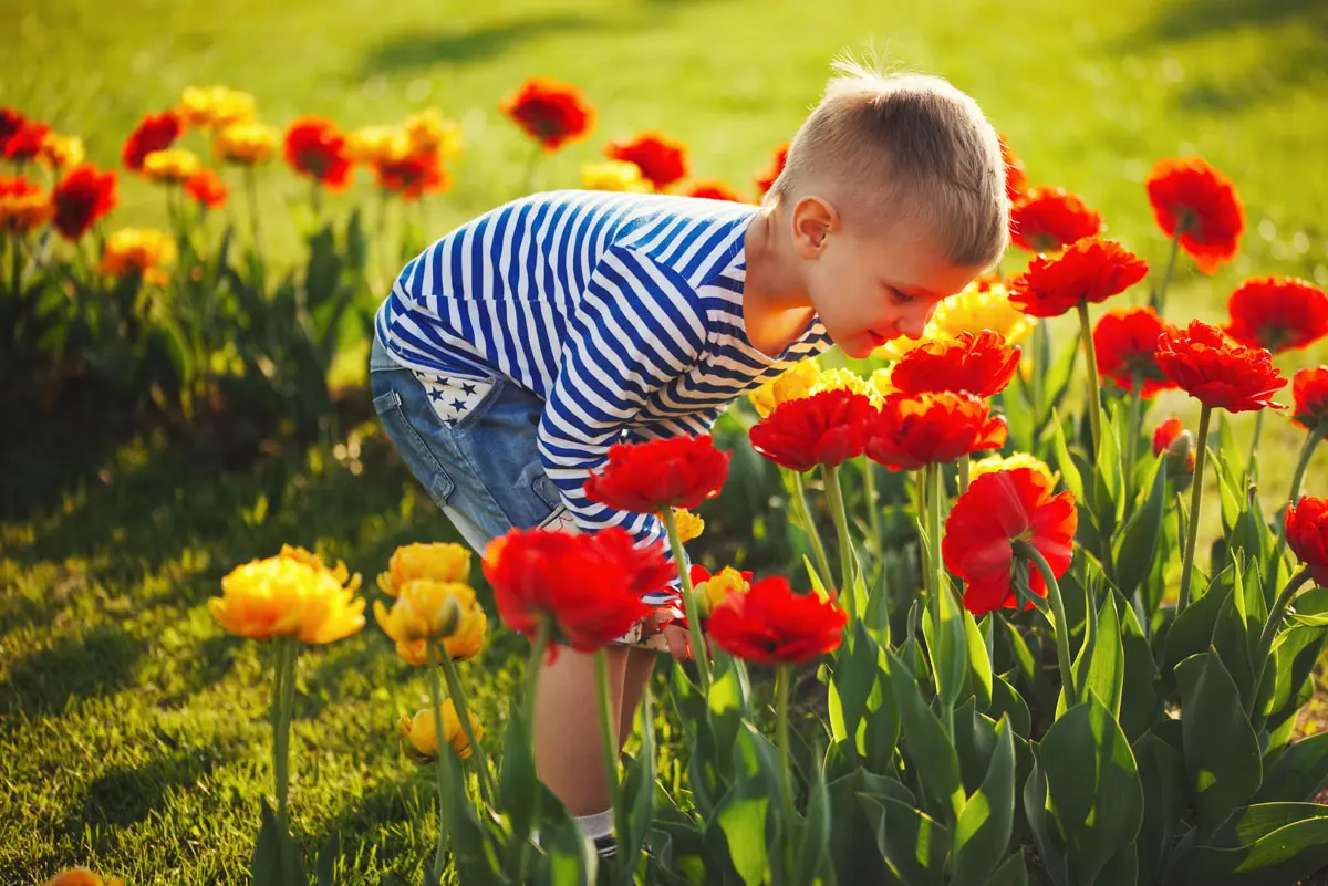 10 maneras de fomentar un buen desarrollo emocional en los niños