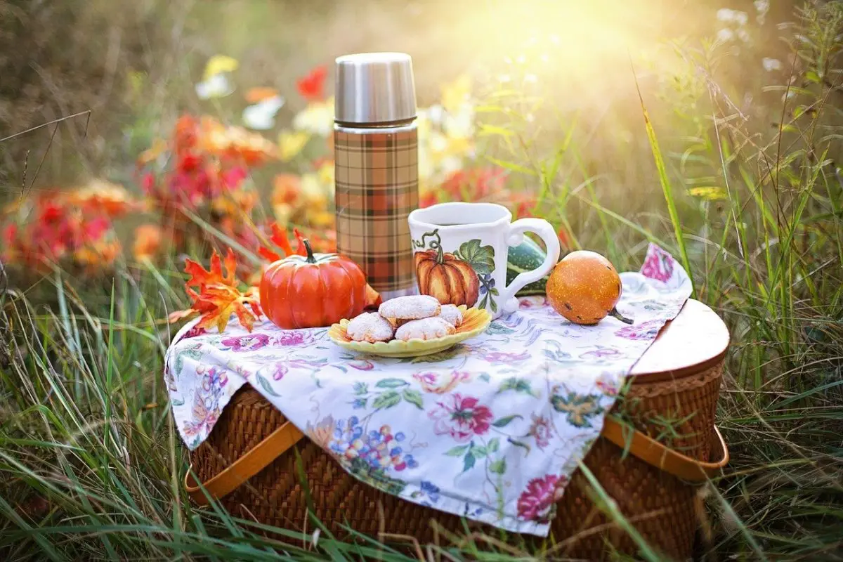 picnic alimentos saludables