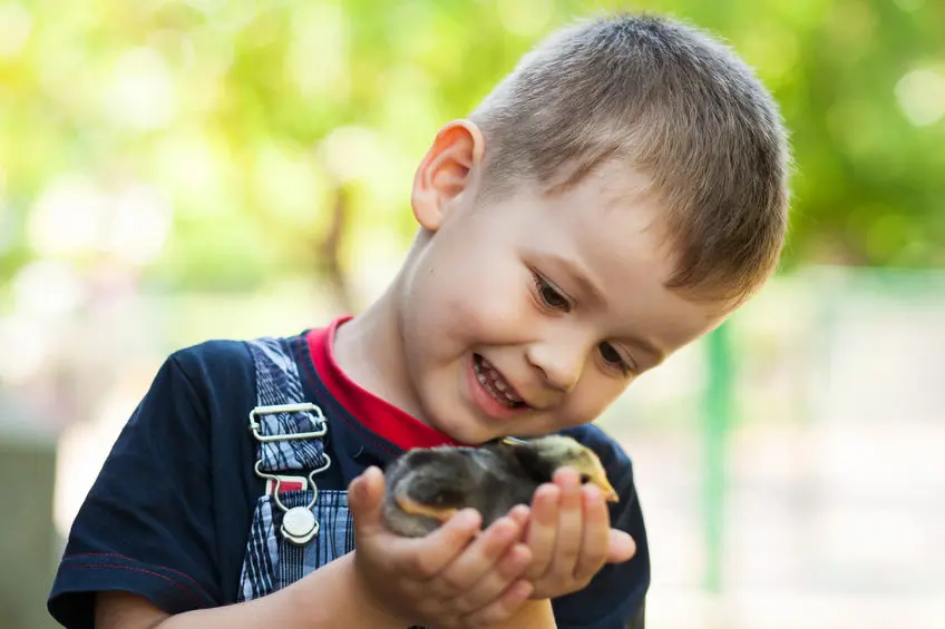 Poemas cortos para niños sobre animales