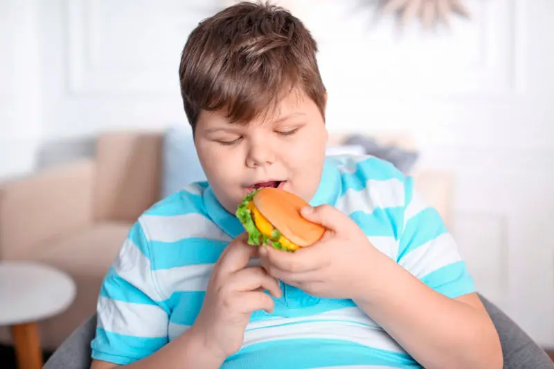 publicidad de alimentos no saludables