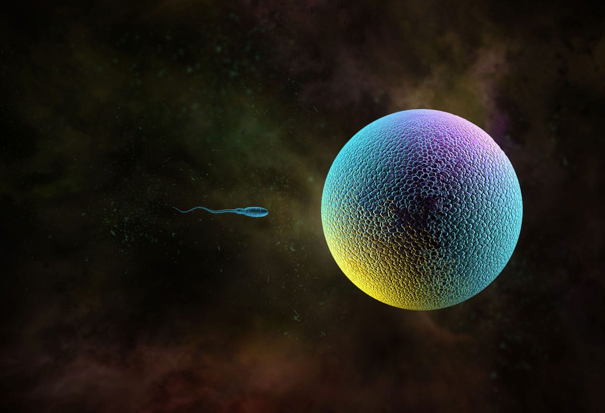 ¿Puede producirse un embarazo con el líquido preseminal? Etapa Infantil