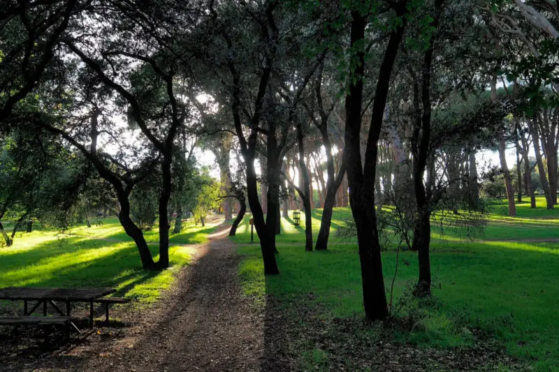 Casa de Campo, en Madrid