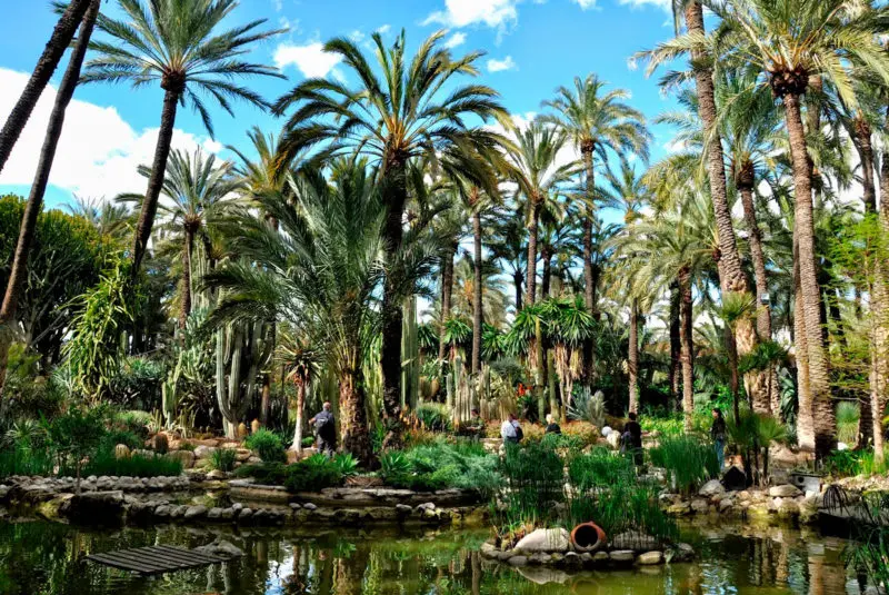 El Palmeral, en Elche, Alicante