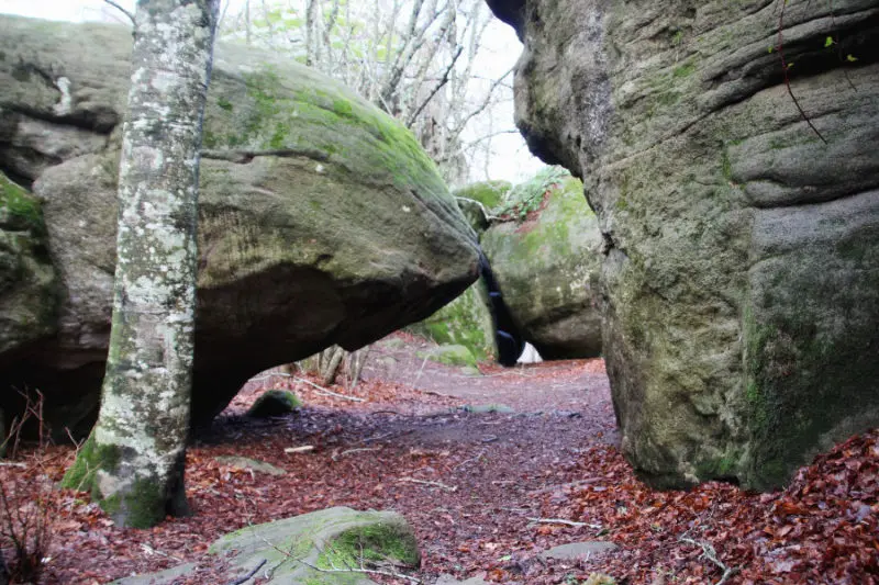 Senderismo El bosque de las Rocas Encantadas