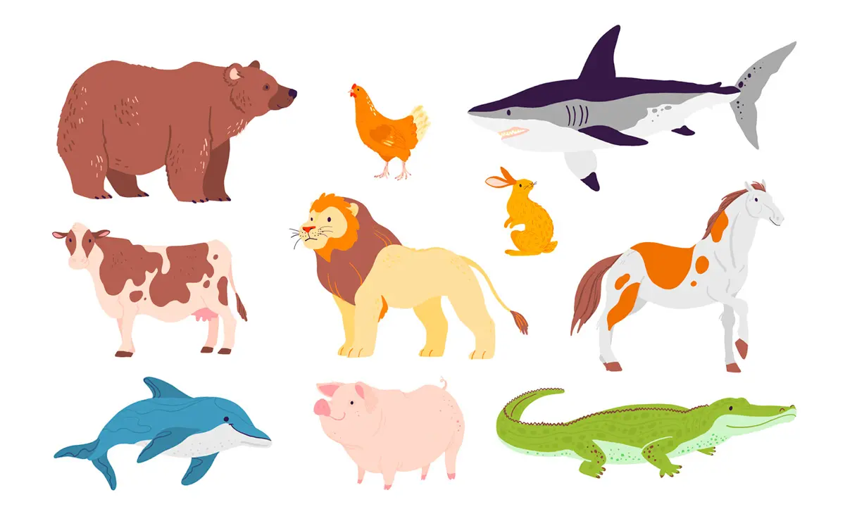 Los animales carnívoros, herbívoros y omnívoros explicados para los niños