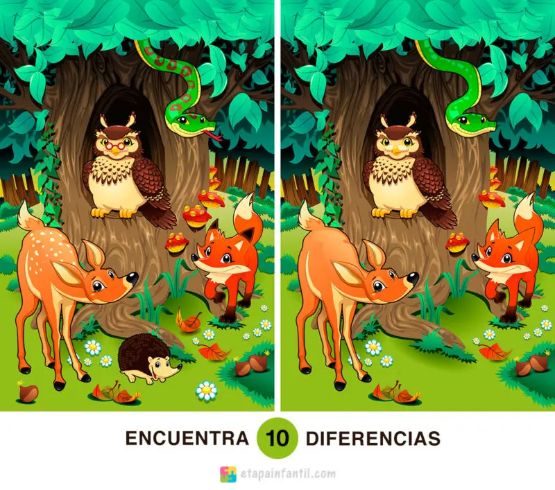 Encuentra las 10 diferencias: Animales en el bosque