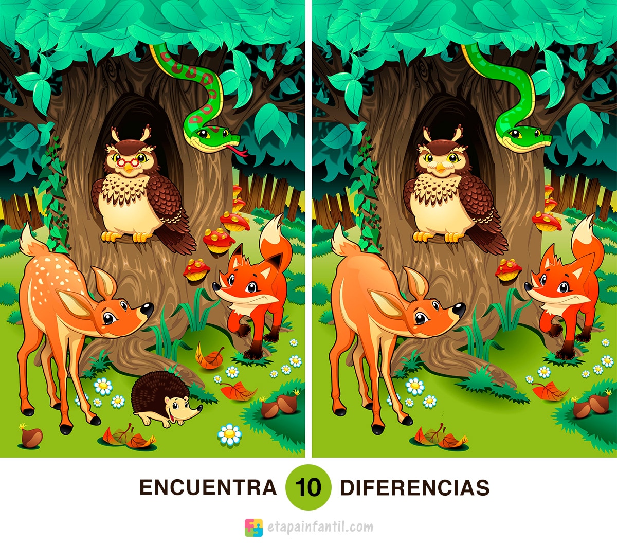 Encuentra las diferencias, un juego para estimular desarrollo infantil - Infantil