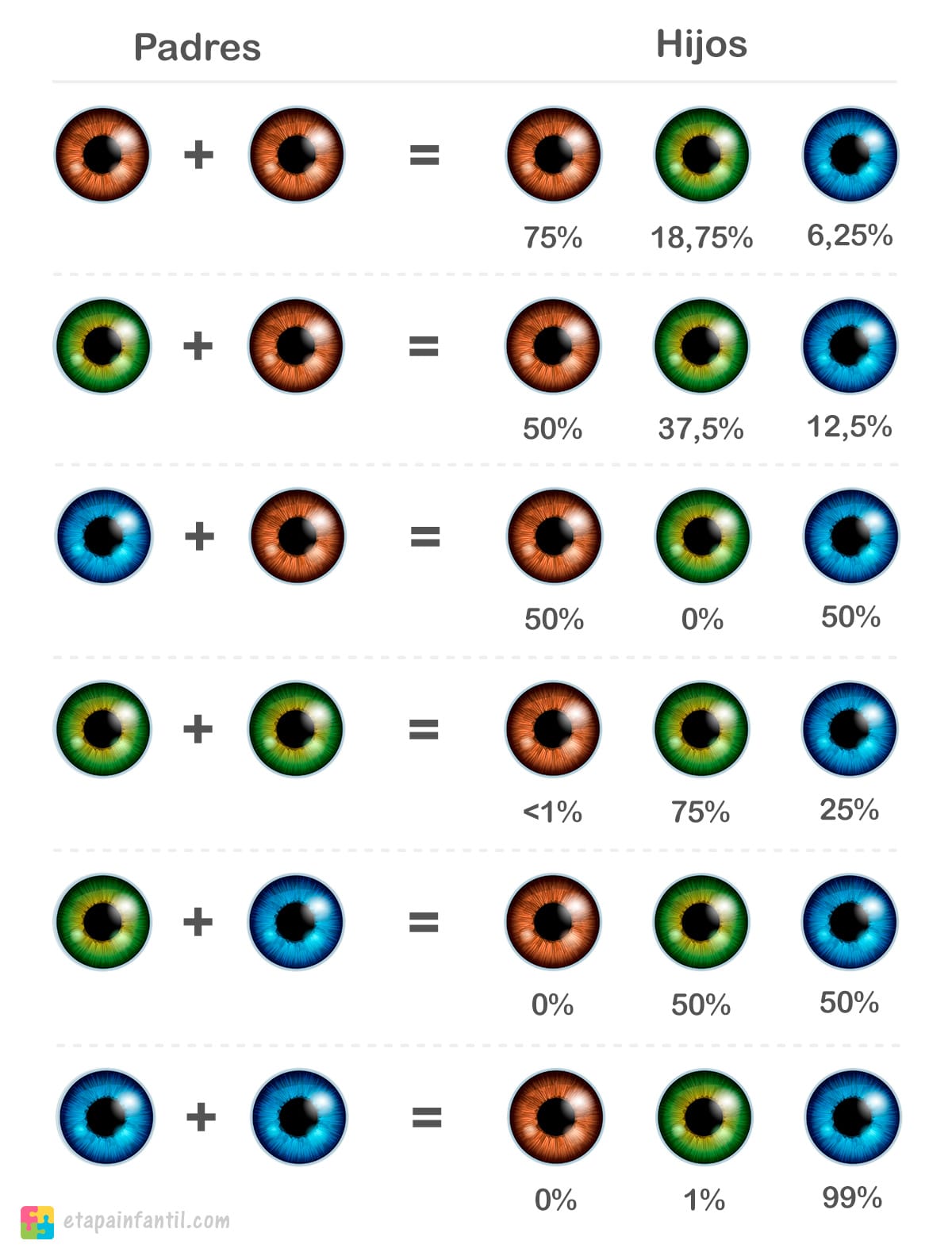 Calculadora de color de ojos del bebé