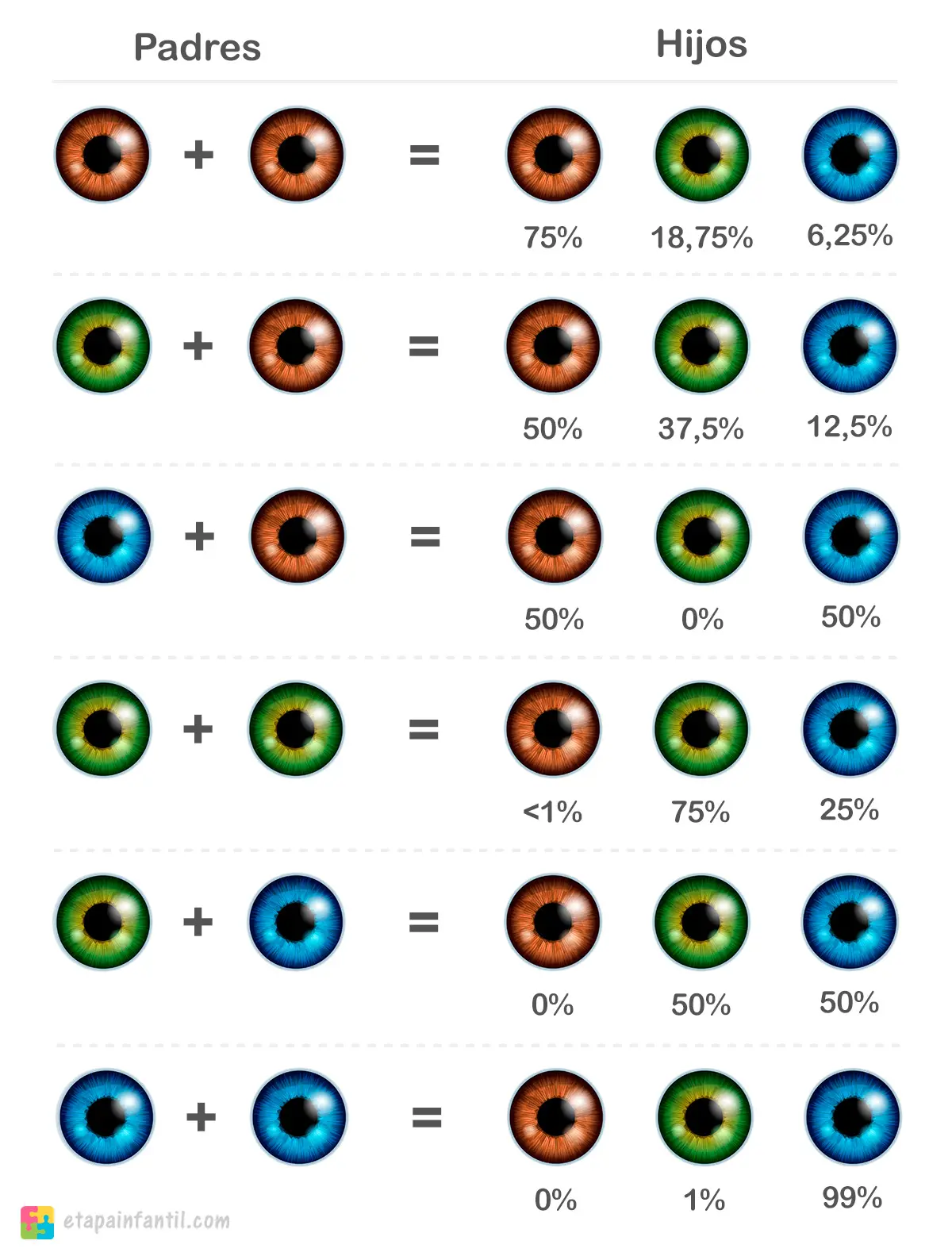 Calculadora de color de ojos del bebé