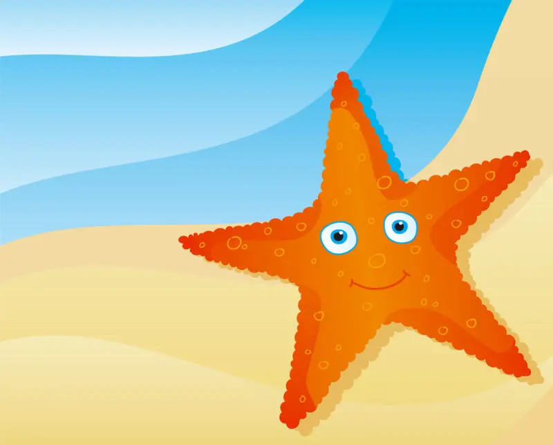 Cuento La estrellita de mar