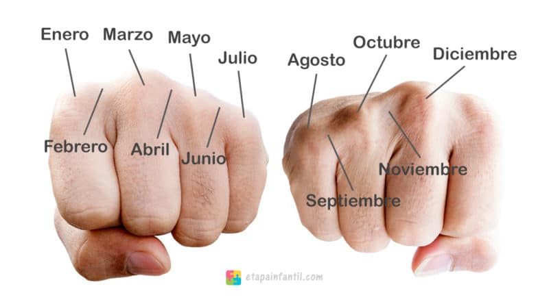 Truco contar meses nudillos