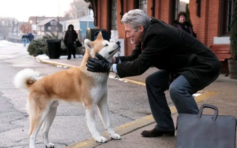 Hachiko pelicula