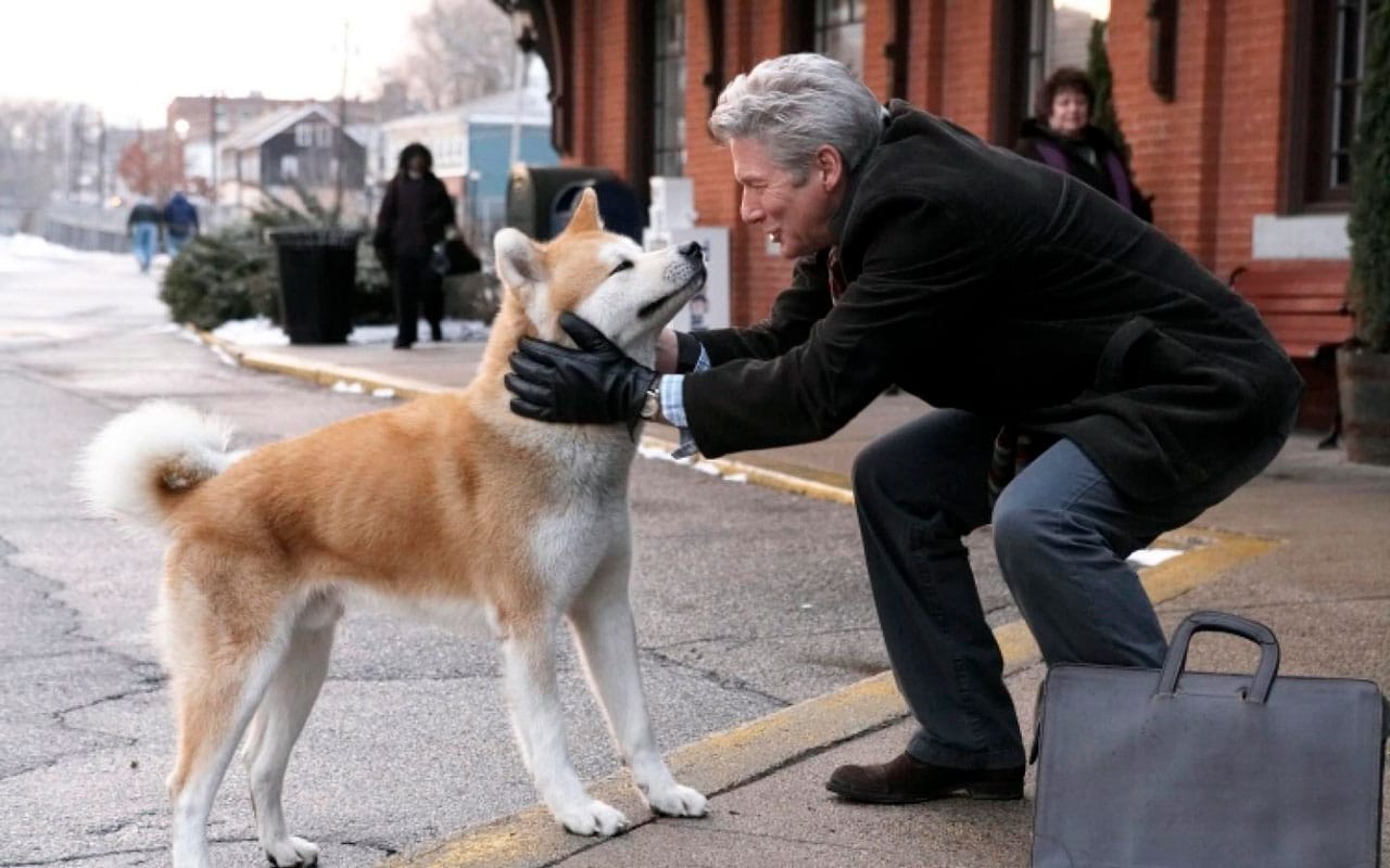 Hachiko una historia real sobre el amor incondicional Etapa Infantil
