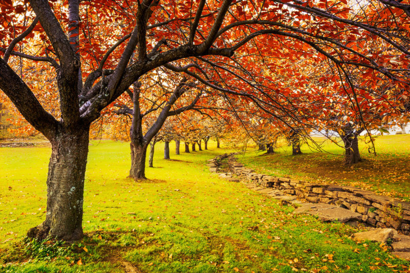 Estaciones del año Otoño