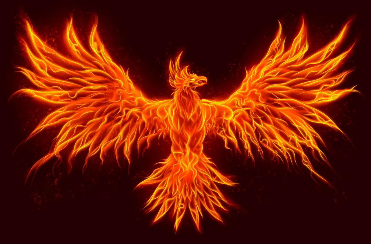 ave fenix