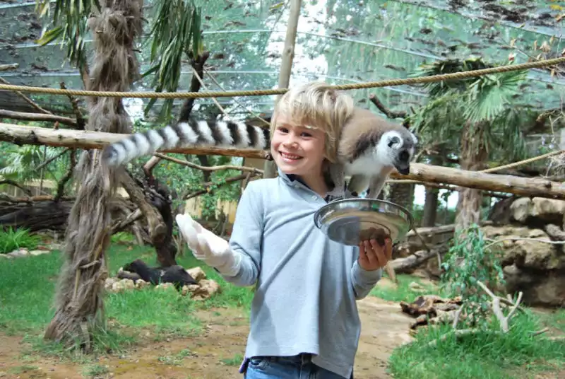 Zoo interactivo Krazy World, Algoz, Portugal