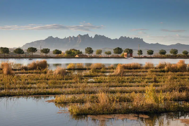 El Parc de l'Agulla, en Manresa, Cataluña