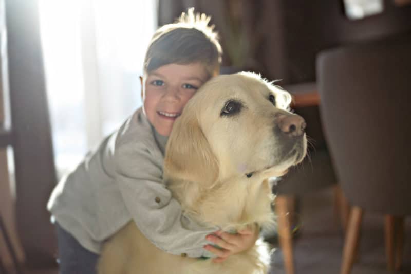 Jabón factible banco Las 7 mejores razas de perros para niños - Etapa Infantil