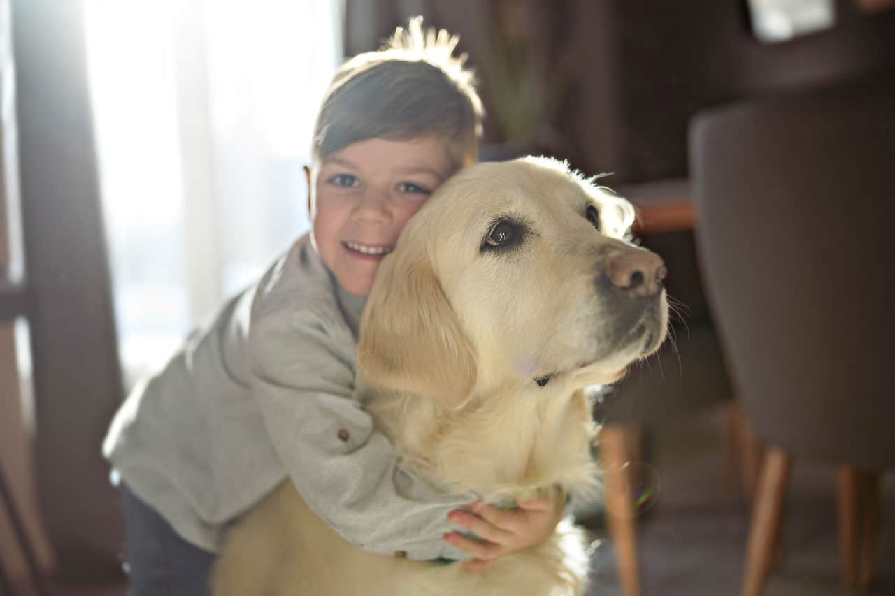 enfocar A tiempo Cierto Las 7 mejores razas de perros para niños - Etapa Infantil