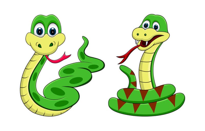 Cuento Las dos serpientes