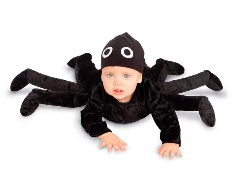 Disfraz bebé araña halloween