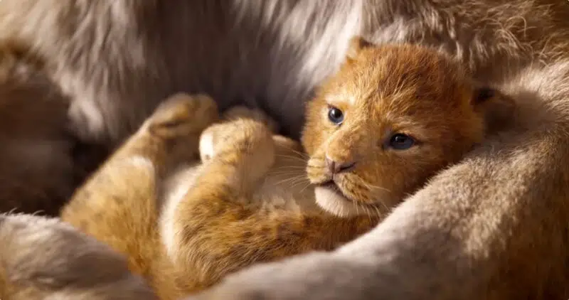 Frases de El Rey León de amor a su hijo