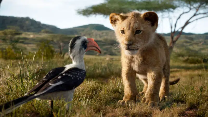 Película Rey León frase de motivación
