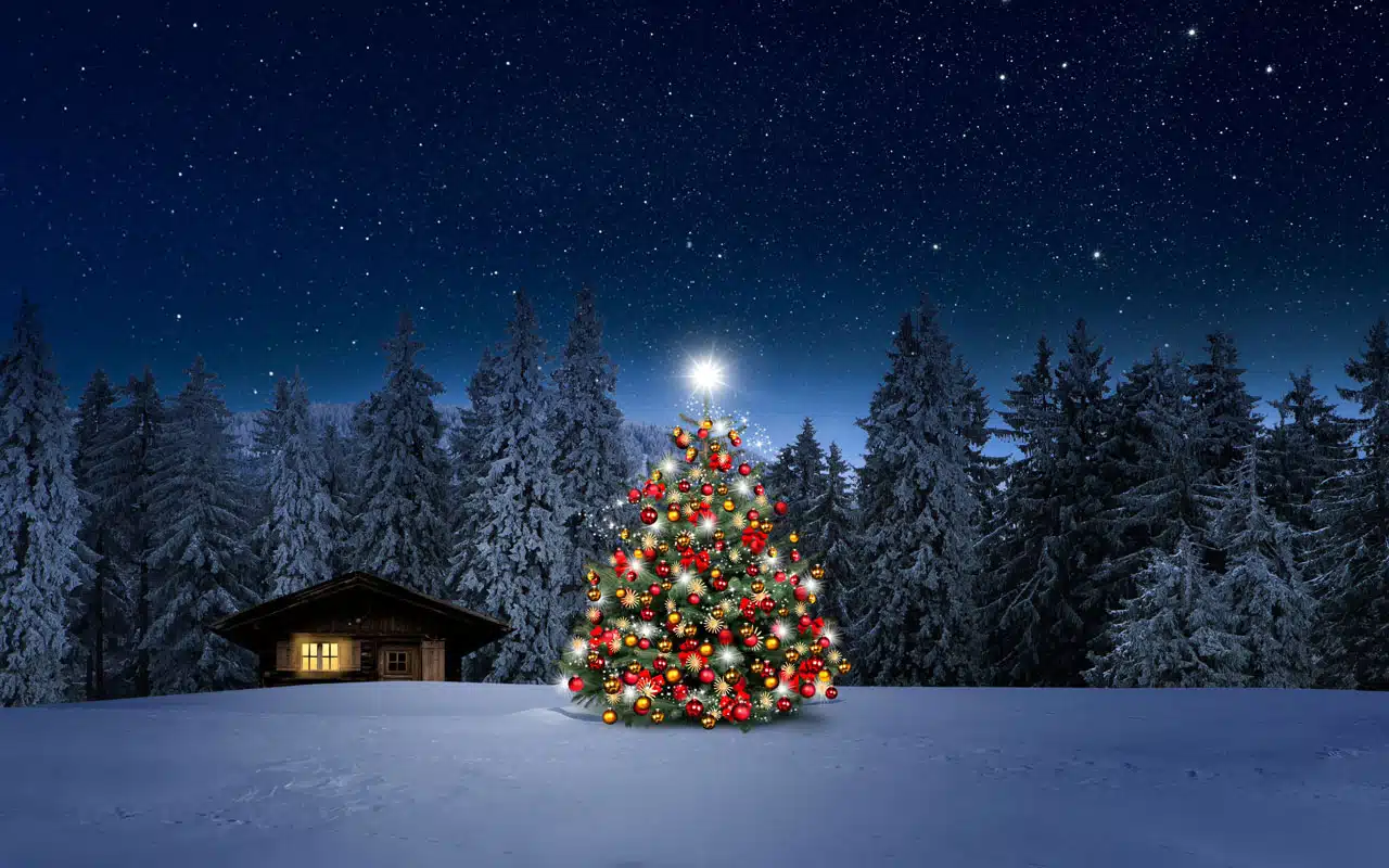 El origen e historia tras el árbol de Navidad