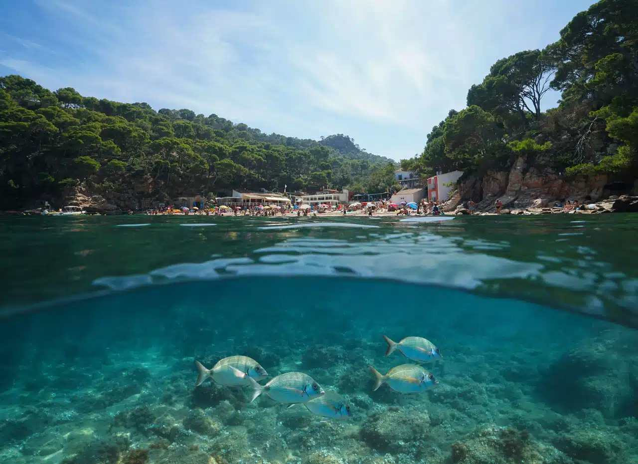 Calas bonitas