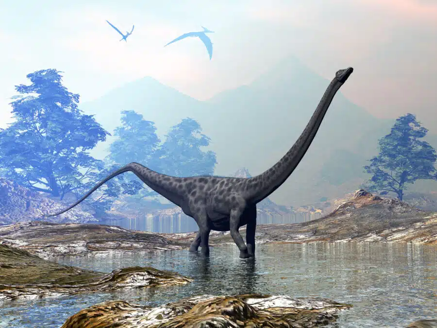 Dinosaurio Diplodocus