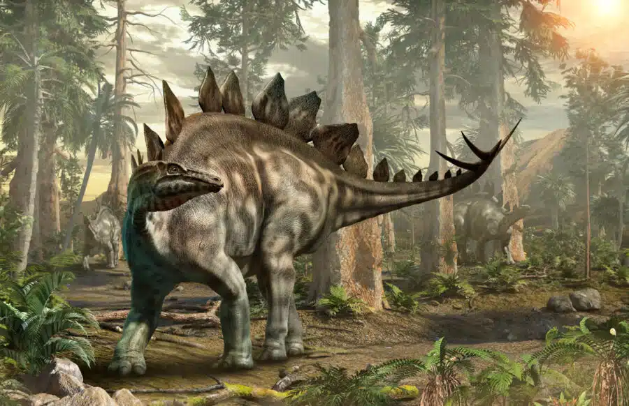 Dinosaurio Estegosaurio