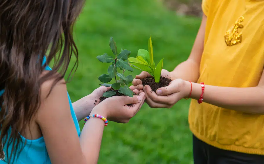 prevenir cambio climático