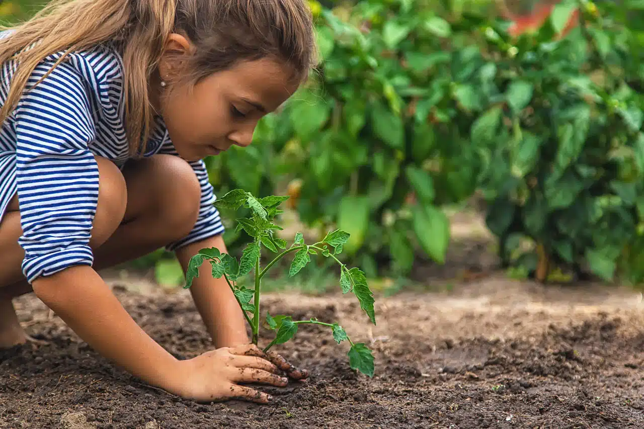 ¿Cómo explicar a los niños qué es la fotosíntesis?